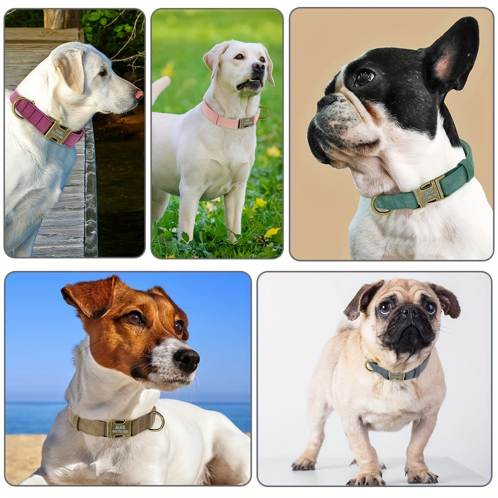 Customizable Personalized Dog Collar with Free Engraved ID Tag