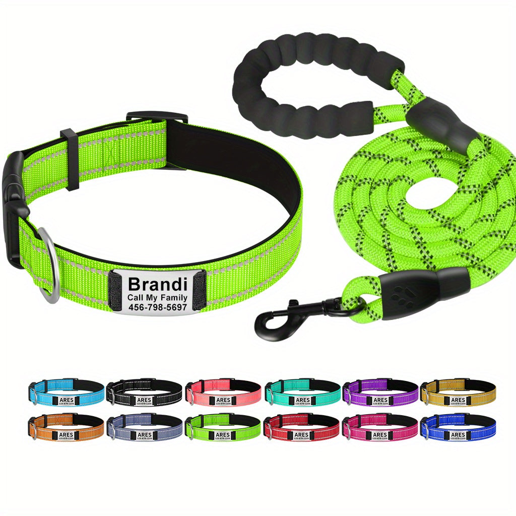 Shiny Guard Personalized Dog Collar & Leash Set