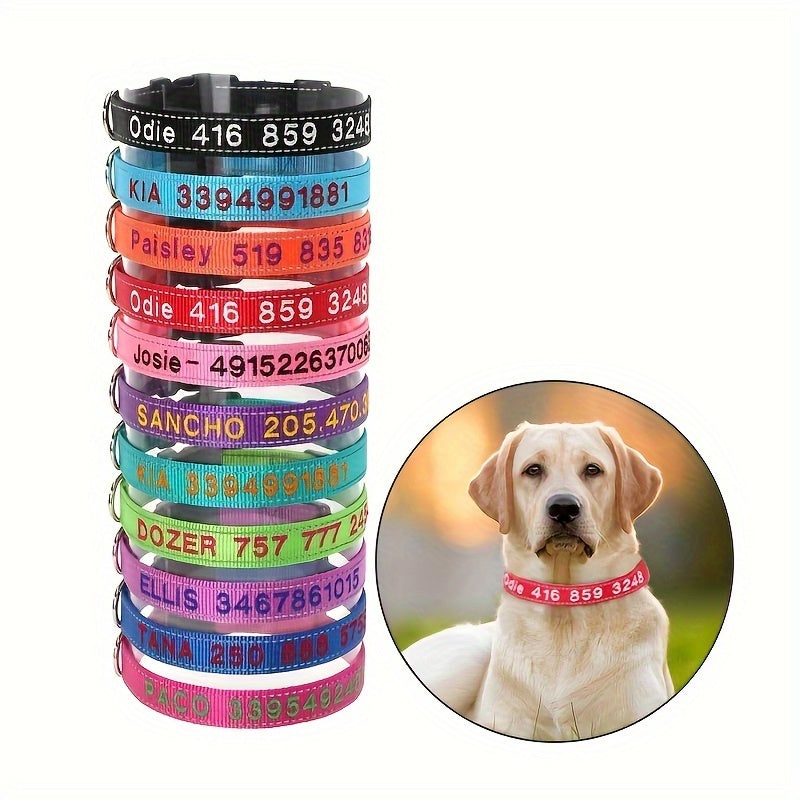 Embroidered Pet Name & Phone Collar