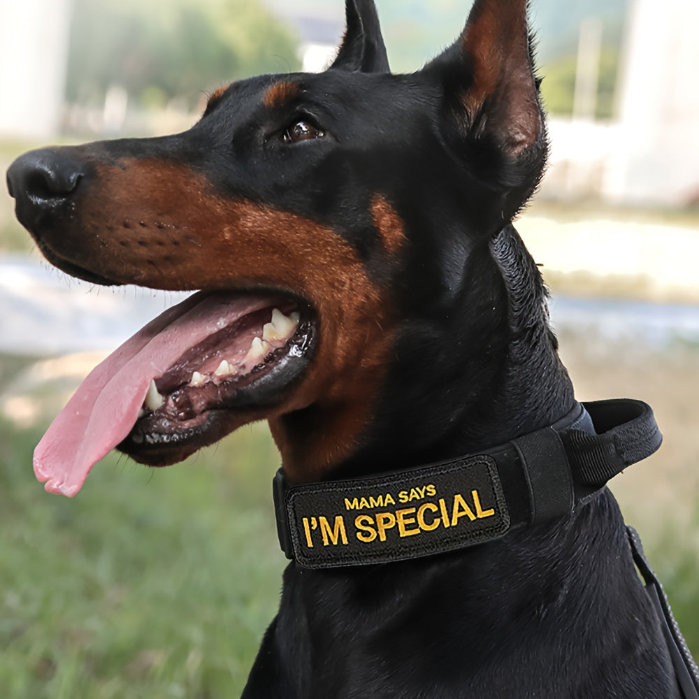 Heavy Duty Tactical Dog Collar with High-Strength Metal Buckle