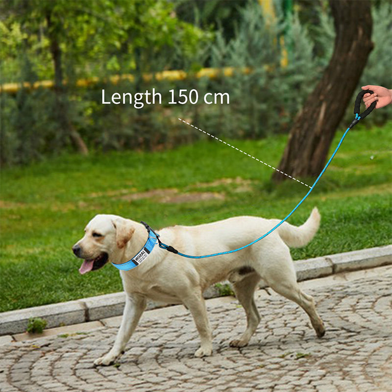 Shiny Guard Personalized Dog Collar & Leash Set