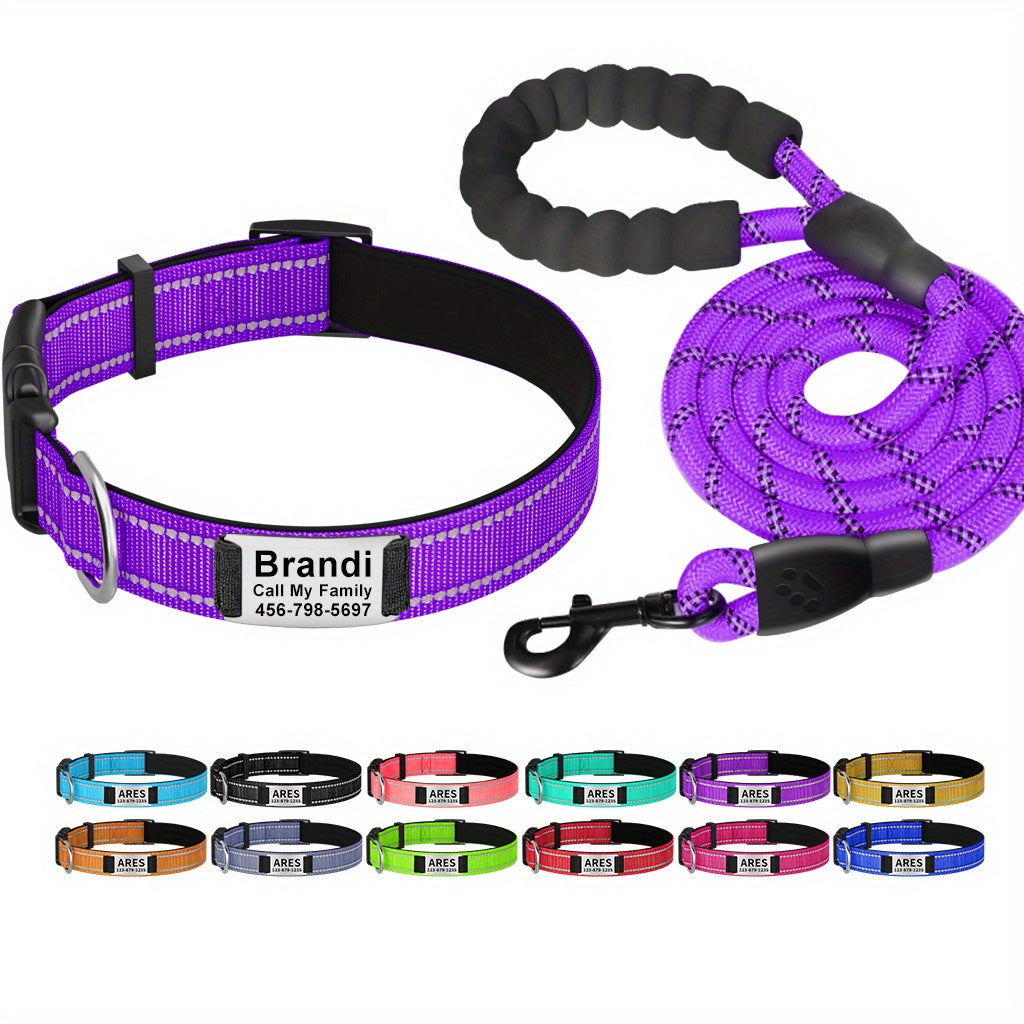 Shiny Guard Personalized Dog Collar & Leash Set