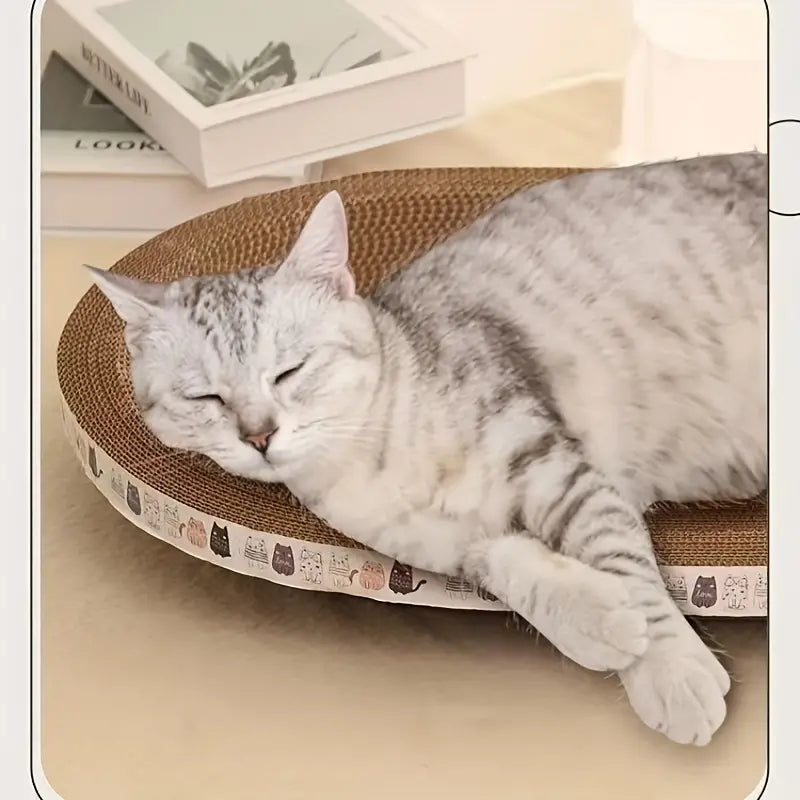 Cat Scratcher Bed