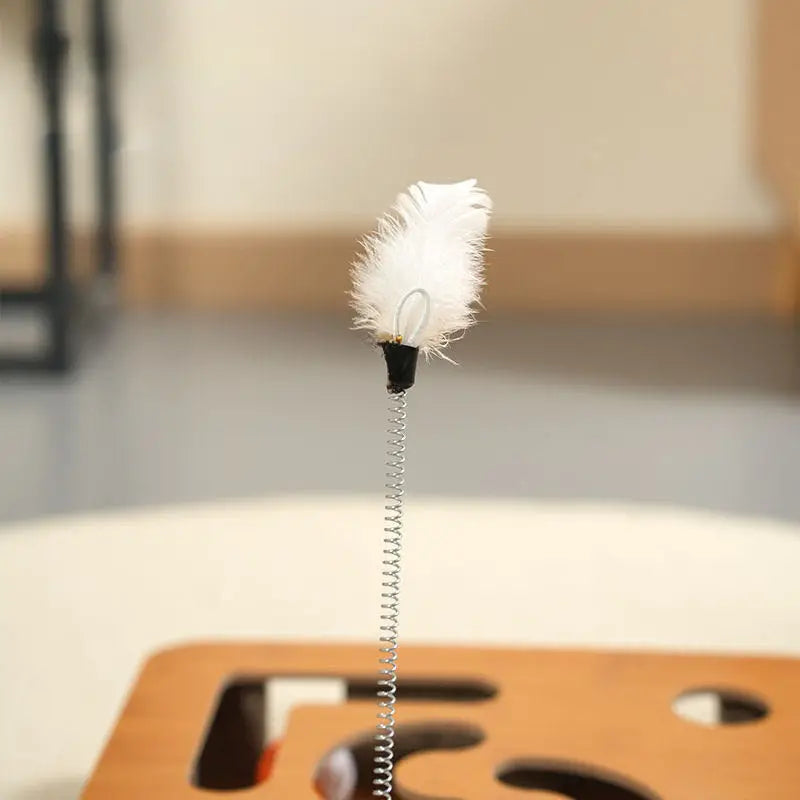 Engaging Cat Scratcher With Bell, Ball & Magic Mouse