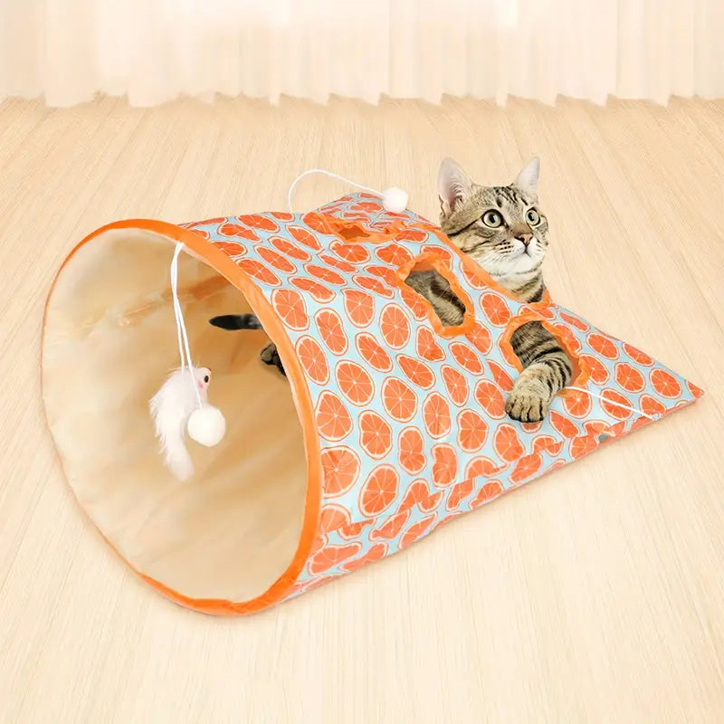 Cat Tunnel