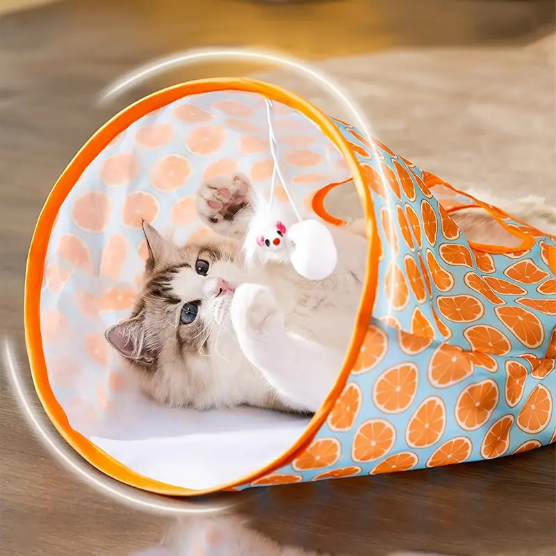 Cat Tunnel