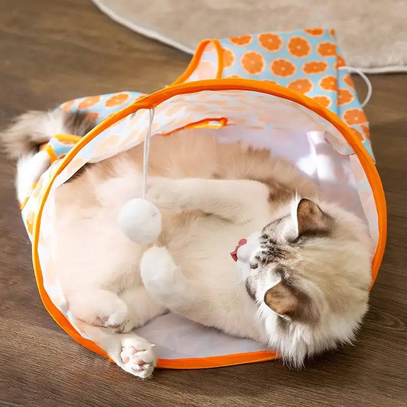 Cat Tunnel