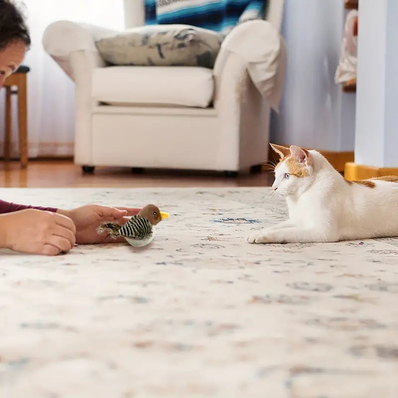 Birdy Cat Toy