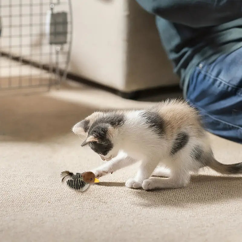 Birdy Cat Toy