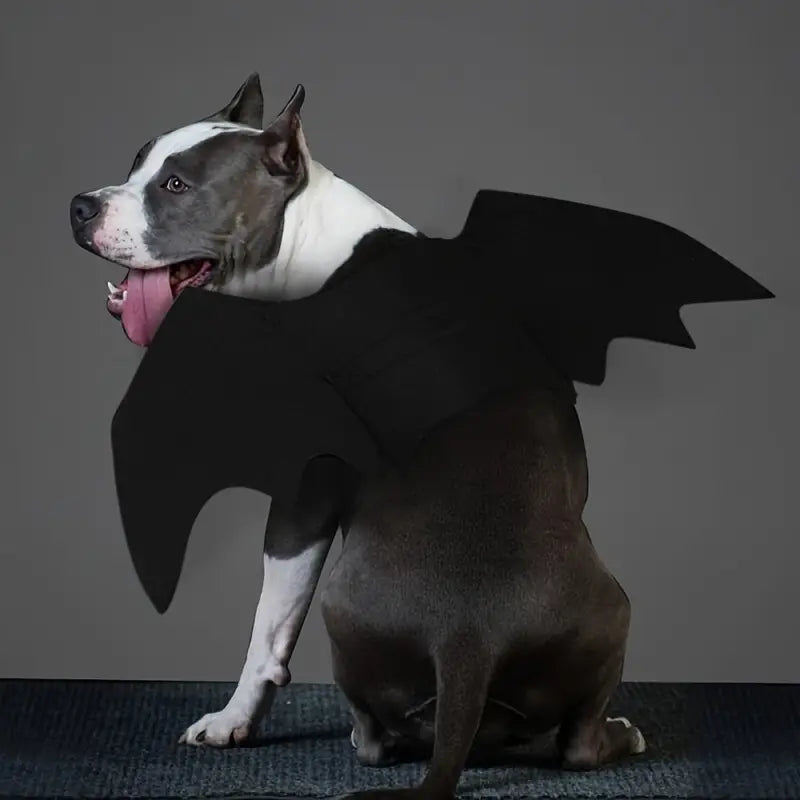 Bat Costume