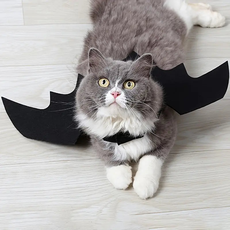 Bat Costume