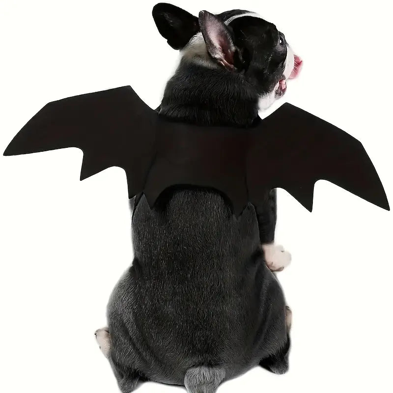 Bat Costume