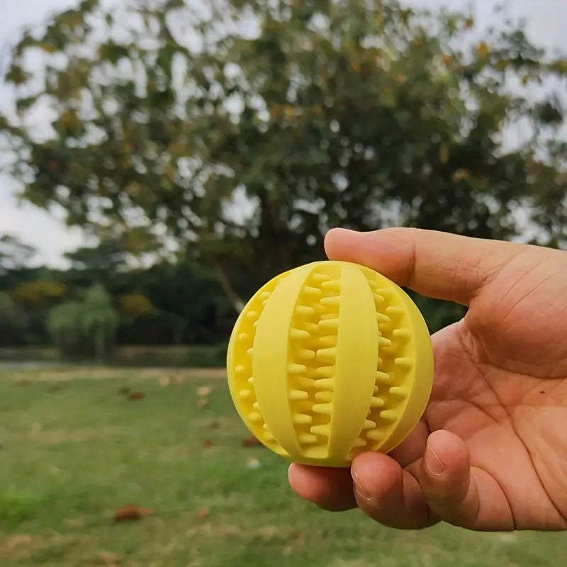 Dog Food-Leaking Toy