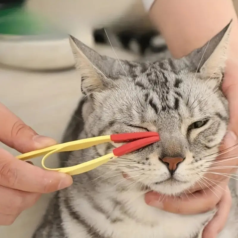 Pet Tear Stain Remover Comb