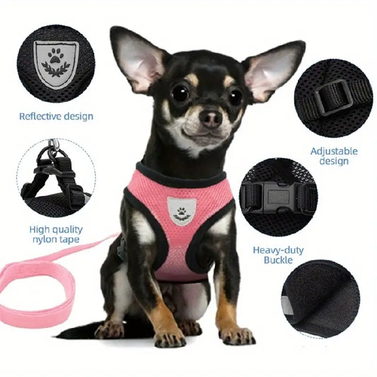 Mesh Dog Harness & Leash Set