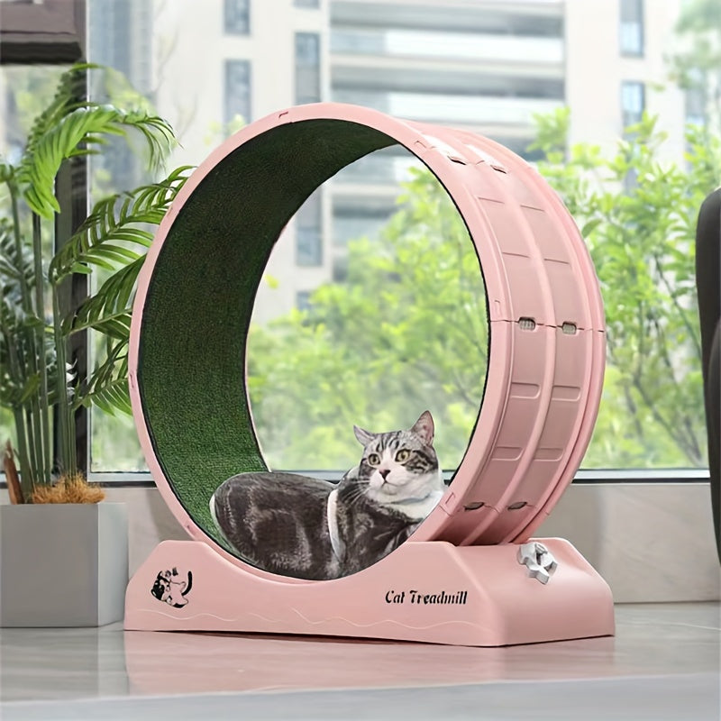 Indoor Cat Roller Treadmill