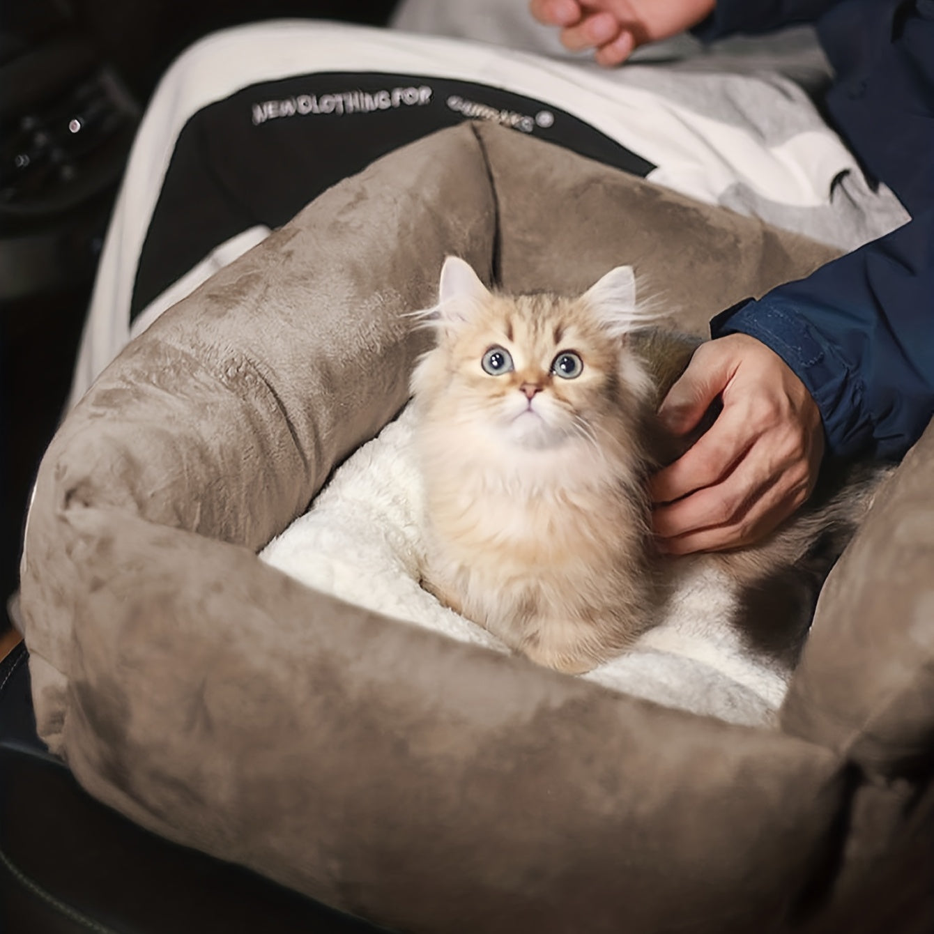 Deluxe Dog Travel Car Seat